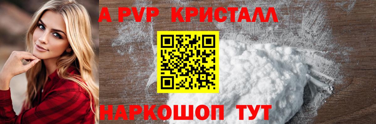 A PVP СК КРИС Долгопрудный